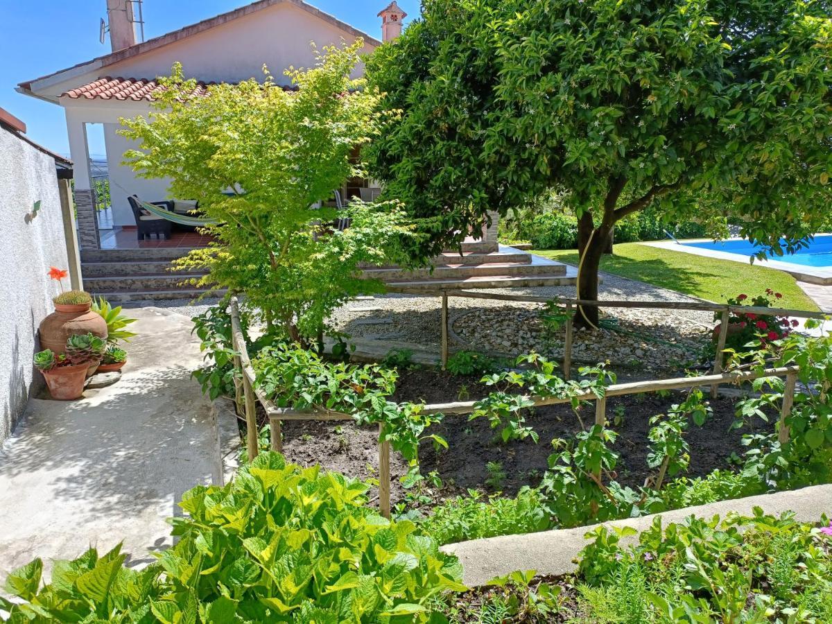 Willa Casa Da Gardunha Corticada  Zewnętrze zdjęcie